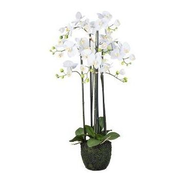 Deko Blume Phalaenopsis Orchidee PINSARY, Erdball, Wurzeln, weiß, 95cm