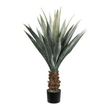 Deko Sukkulente Agave furcraea gigantea CLURT, grün-grau, 100cm