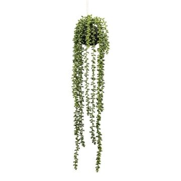 Deko Sukkulente Senecio Blumenampel ZORCH, Erdball, hängend, grün, 65cm