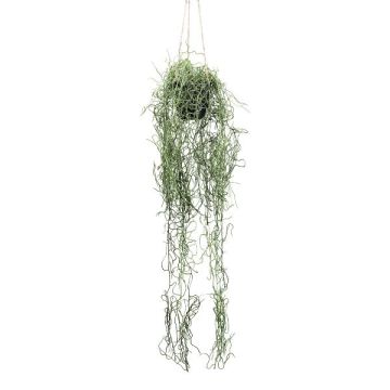 Deko Tillandsia Usneoides Blumenampel FRULD im Dekotopf, grün, 80cm