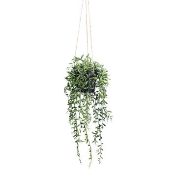 Kunst Sukkulente Senecio Blumenampel GRISTY im Dekotopf, hängend, grün, 55cm