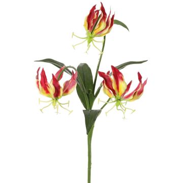 Dekoblume Gloriosa XELA, dunkelrot-gelb, 50cm