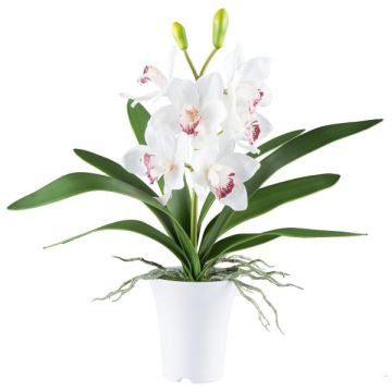 Textil Cymbidium Orchidee BLORKE im Melamin-Übertopf, Wurzeln, weiß-rosa, 55cm