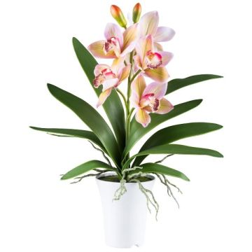 Textil Cymbidium Orchidee BLORKE im Melamin-Übertopf, Wurzeln, grün-rosa, 55cm