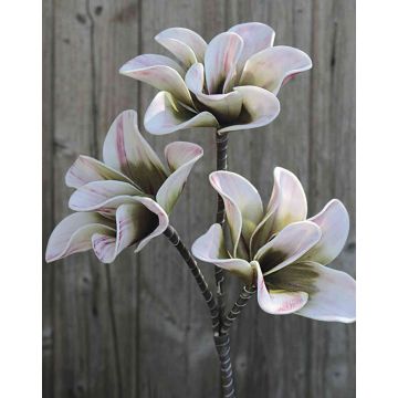 Künstliche Magnolie artplants Online-Shop im kaufen