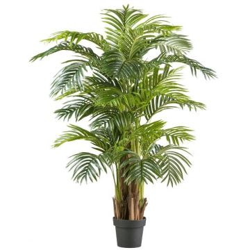 Kunstpflanze Palme Areca BECKET im Dekotopf, 150cm