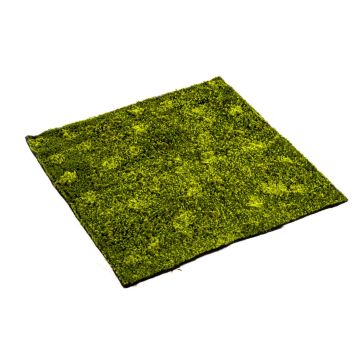 Kunst Schlafmoos Matte Vlies FERMIN, grün, 100x100cm