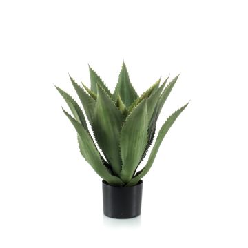 Künstliche Agave americana FERNANDA, grün, 55cm