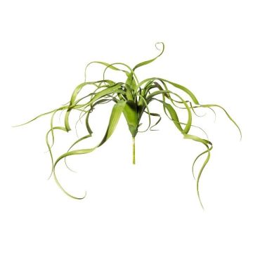 Kunst Sukkulente Tillandsia streptophylla KRIFT, Steckstab, grün, 65cm