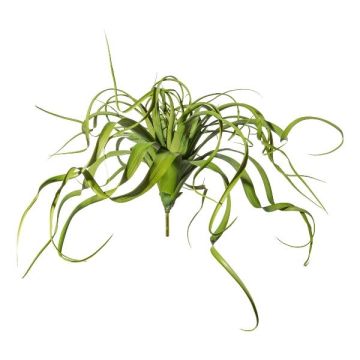 Kunst Sukkulente Tillandsia streptophylla KRIFT, Steckstab, grün, 70cm