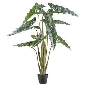 Kunstpflanze Alocasia Sanderiana NARLO, Dekotopf, grün, 130cm