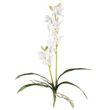 Kunst Dendrobium Sonia Orchidee NELTI, Steckstab, Wurzeln, weiß, 60cm