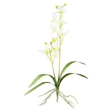 Kunst Dendrobium Sonia Orchidee NELTI, Steckstab, Wurzeln, hellgrün, 60cm