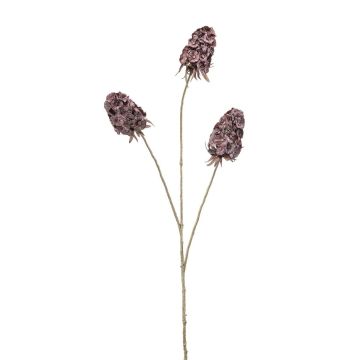 Dekoblume Stern Scabiosa JAZZLYN, dunkelviolett, 85cm