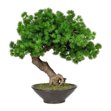 Deko Baum Bonsai Lärche WAMENO in Keramikschale, 35cm