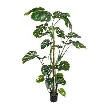 Kunst Philodendron Monstera Deliciosa EIDERA, Luftwurzeln, 180cm