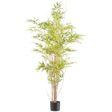 Künstlicher Baum Japanischer Pfeilbambus EDENA, Naturstämme, 150cm