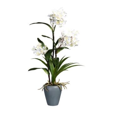 Textil Dendrobium Sonia Orchidee LIKONA, Keramikvase, Wurzeln, weiß, 70cm