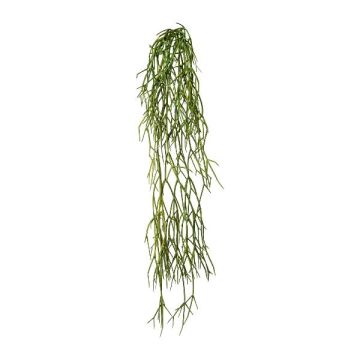 Künstliche Sukkulente Rhipsalis WUNKE, buschig, Steckstab, hängend, grün, 60cm