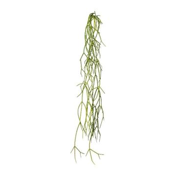 Künstliche Sukkulente Rhipsalis WUNKE, Steckstab, hängend, grün, 60cm