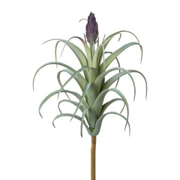 Künstliche Sukkulente Tillandsia stricta KROST, Steckstab, Blüte, grün-lila, 23cm