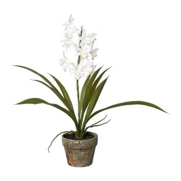 Deko Blume Cymbidium Orchidee LEKON im Zementtopf, Wurzeln, weiß, 45cm