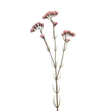 Dekoblume Strandflieder KORDELIA, altrosa, 60cm