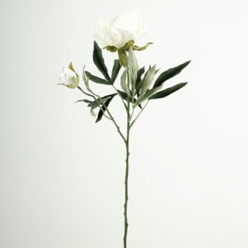 Kunst Blumenzweig Pfingstrose GALENE, Eco Collection, weiß-lila, 65cm, Ø10cm