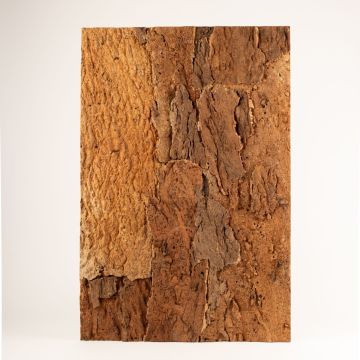 Natur Korkrückwand RATANA auf Presskorkträger, hellbraun, 90x60cm, Stärke 2cm