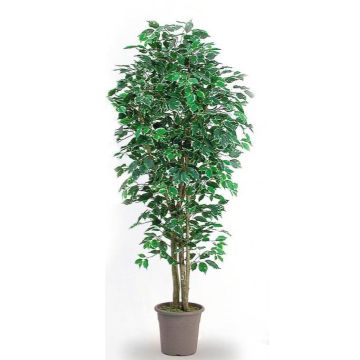 Deko Ficus Benjamini LEONORET, Echtstämme, grün-weiß, 125cm - Made in Italy