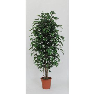 Deko Ficus Benjamini KONRADE, Echte Stämme, grün, 100cm - Made in Italy