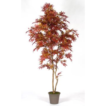 Kunstbaum Japanischer Ahorn STREGOBOR, Echtstämme, rot-braun, 150cm - Made in Italy