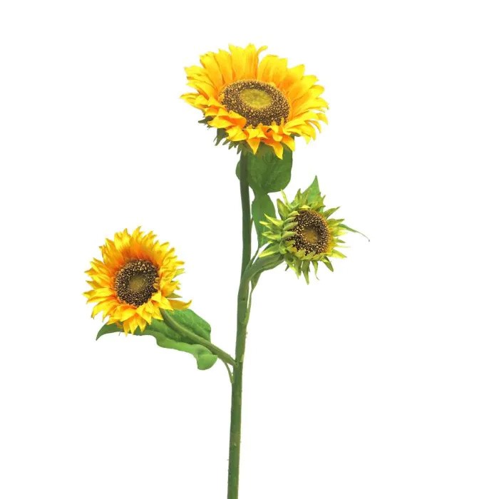 Sonnenblumen