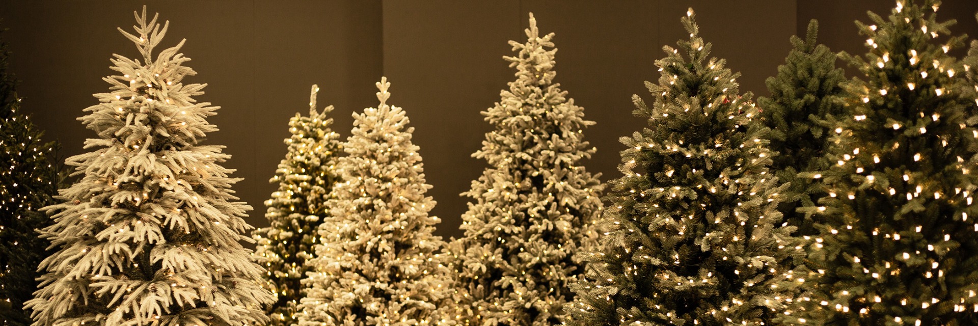 Realistic Christmas trees