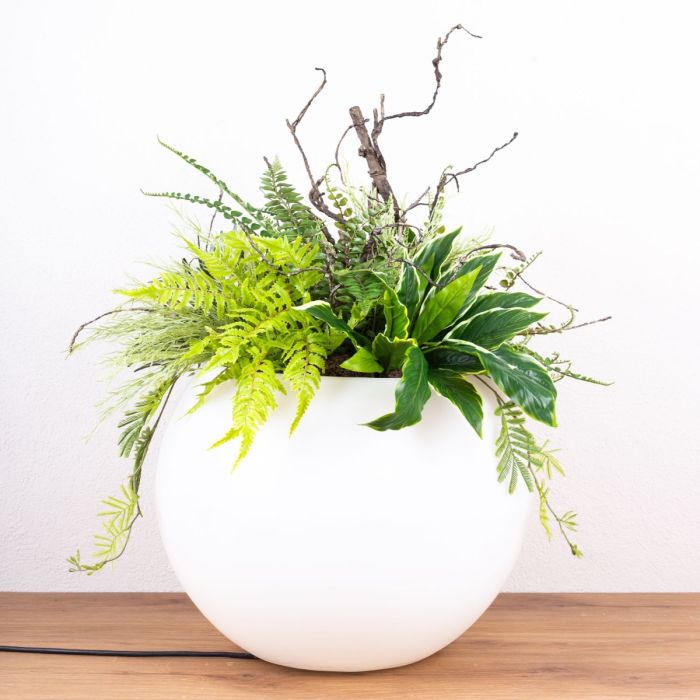 Customised plant arrangement