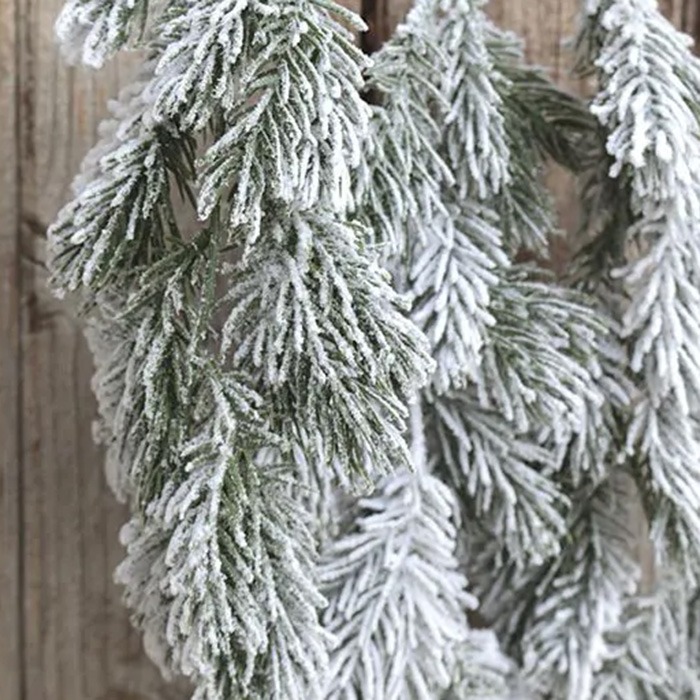 Winter plants