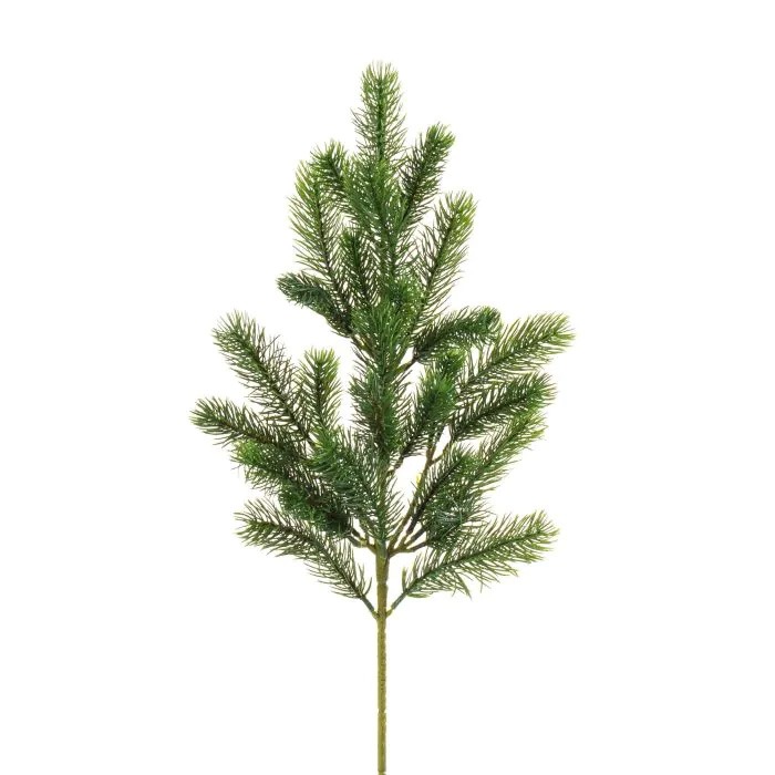 Fir branches