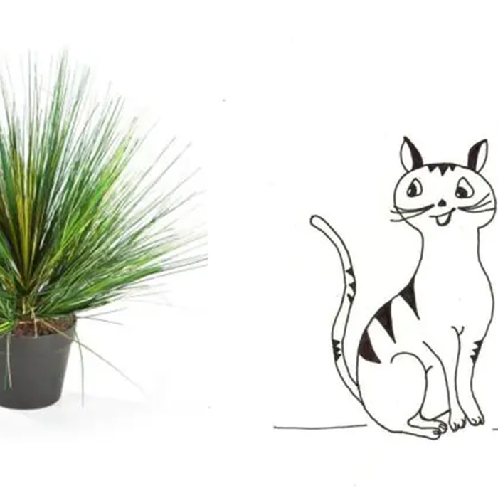 Katzen und Kunstpflanzen?