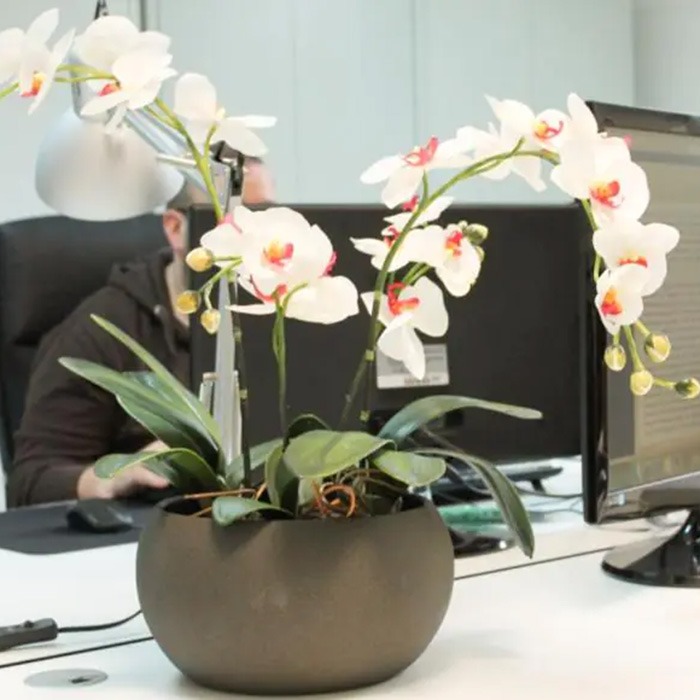 Künstliche Blumen beleben den Büroalltag